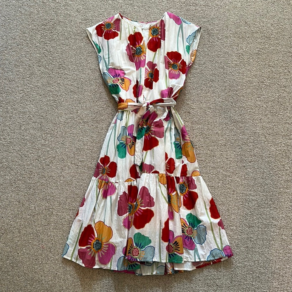 Just last Spring Velvet floral long dress